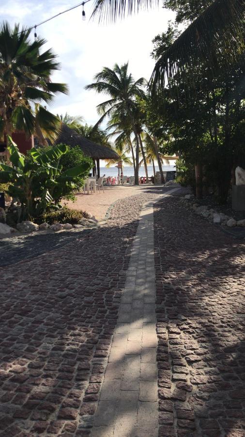 Blue Bay Resort Garden Sint Michiel Exterior photo